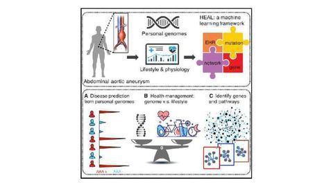 HEAL Helps Detect Heritable Disease Risk