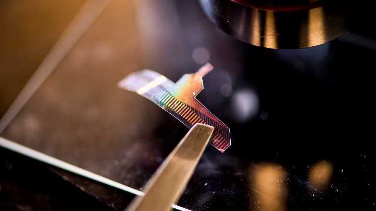 Nanomesh Enables Simultaneous Electrophysiology and Imaging In Vivo