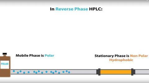 HPLC - Normal Phase vs Reverse Phase