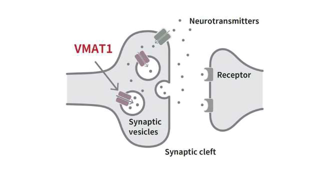 How Did Psychiatric Disorders Evolve?
