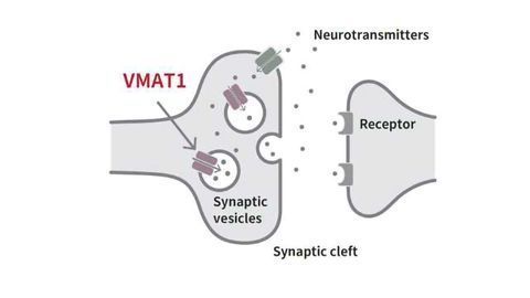 How Did Psychiatric Disorders Evolve?