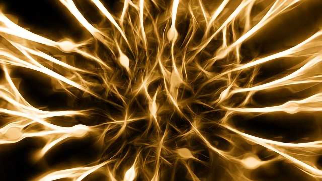 Brain's Immune Cells to Blame for Obesity-associated Cognitive Decline