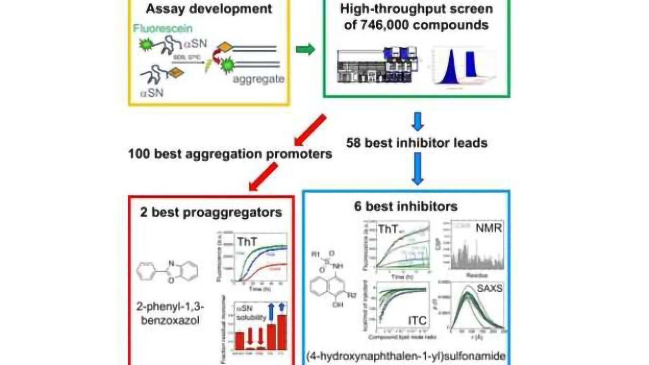 HTS Strategy Could Pave the Way to Parkinson’s Disease Therapy