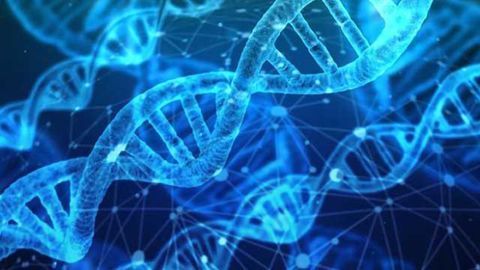 Optimizing Technologies for Discovering Cancer Cell Mutations