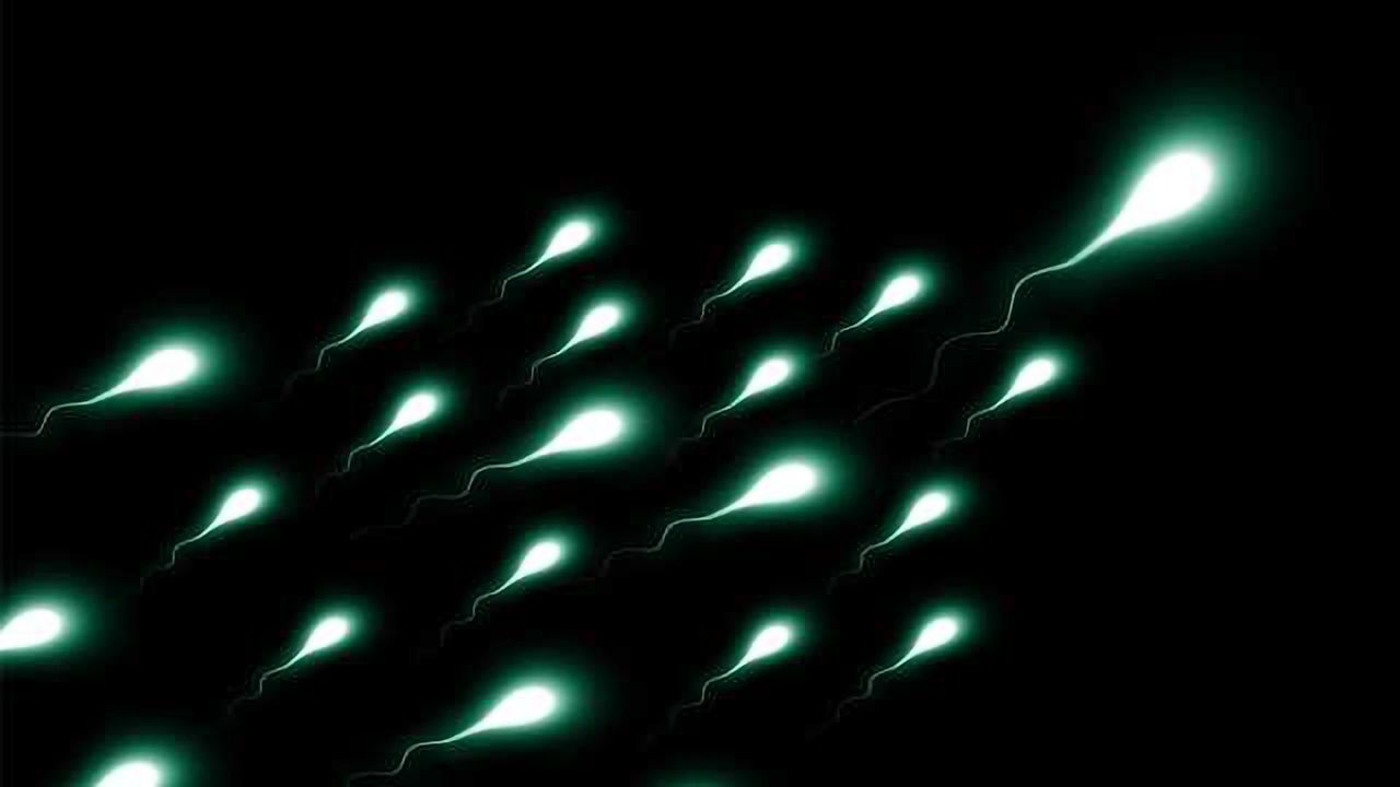 Device to Corral Viable Sperm May Speed IVF Process