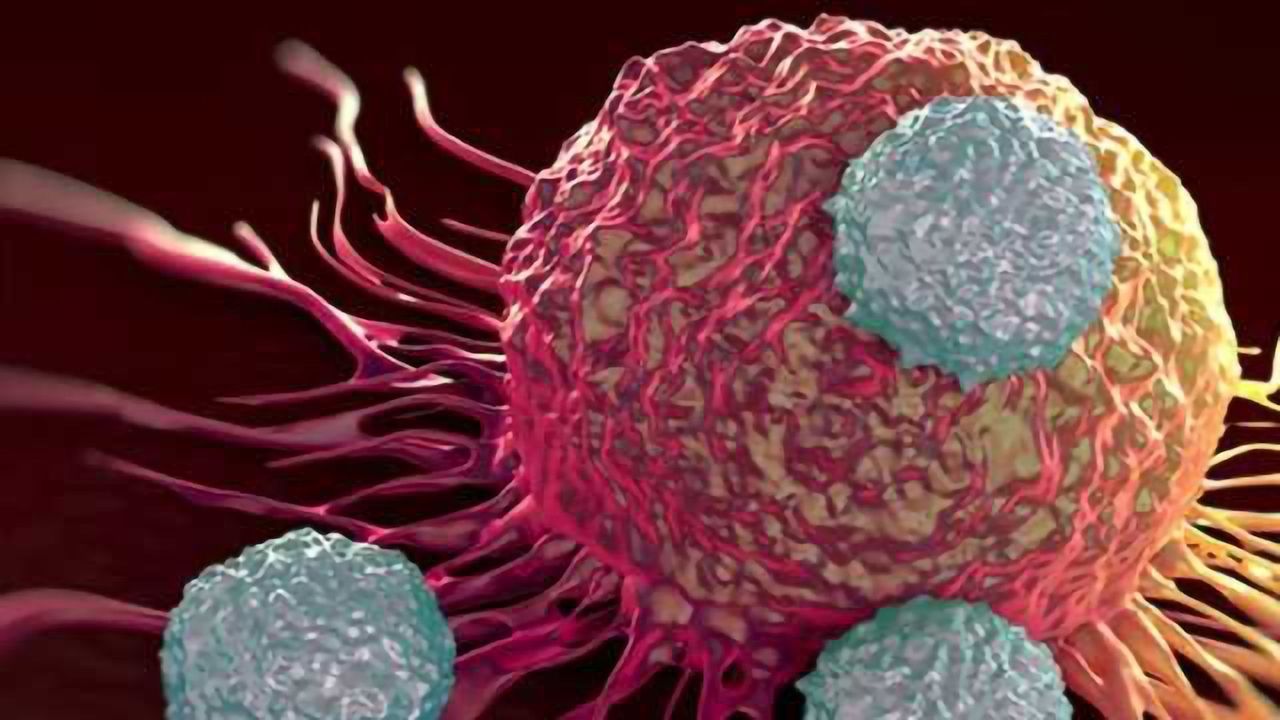 Natural Killer Cells Could Be Key to Cancer Immunotherapy