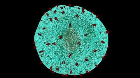 Predicting Response to Immunotherapy in Melanoma