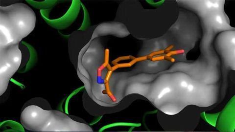 Scientists Develop New Drug Treatment for TB