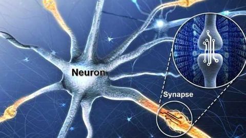 Artificial Synaptic Device Simulating the Function of Human Brain
