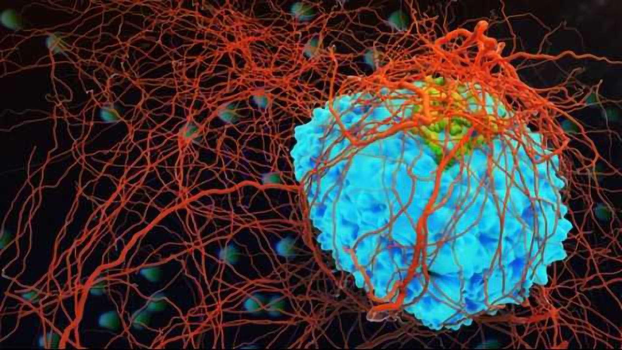 Shedding Light on 100-Year-Old Cancer Mystery