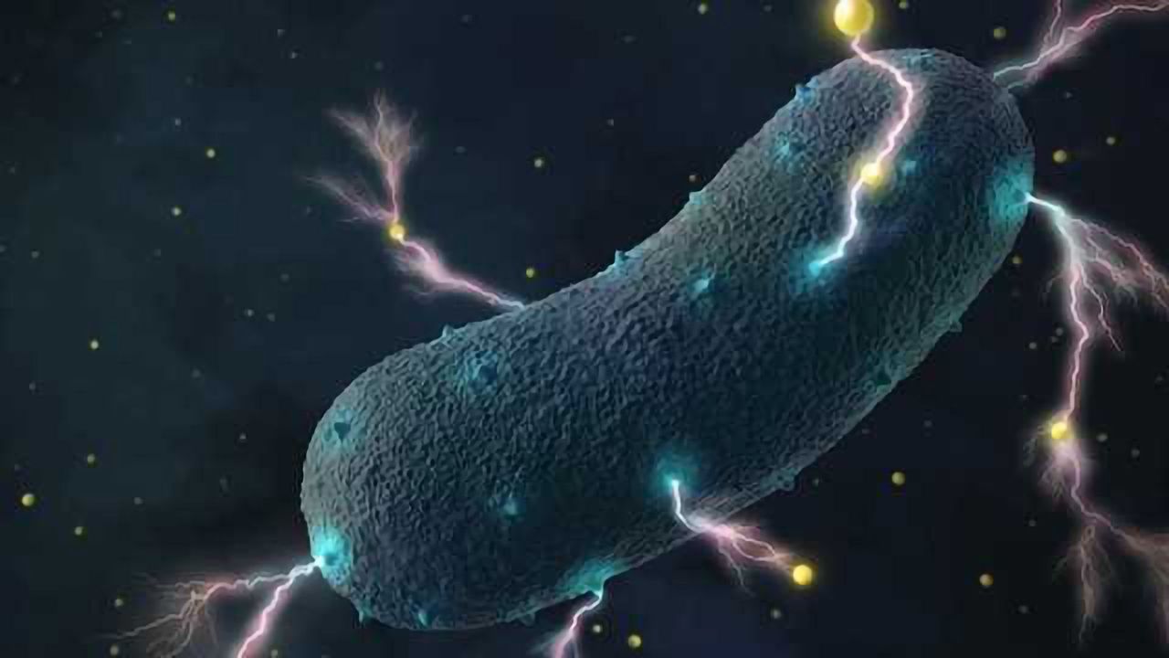 Gut Bacteria’s Shocking Secret