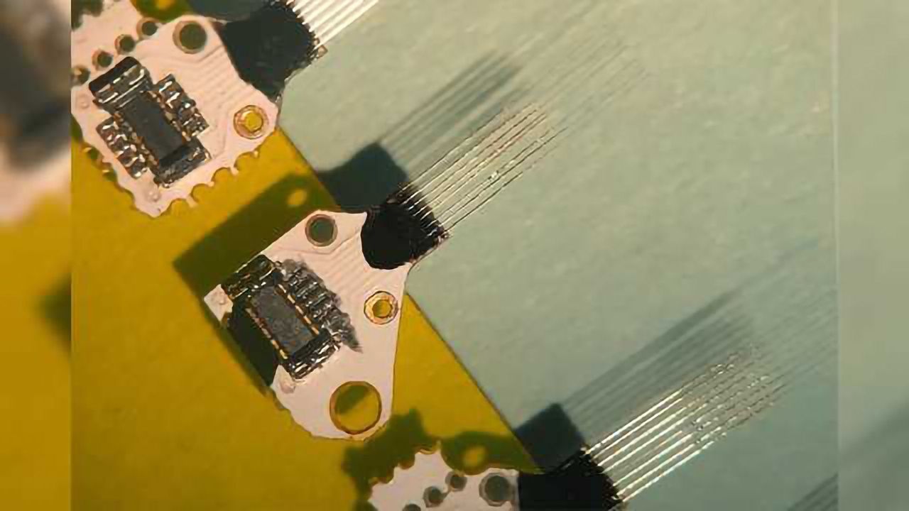 Tiny Sensors Track Dopamine Levels in the Brain for More than a Year