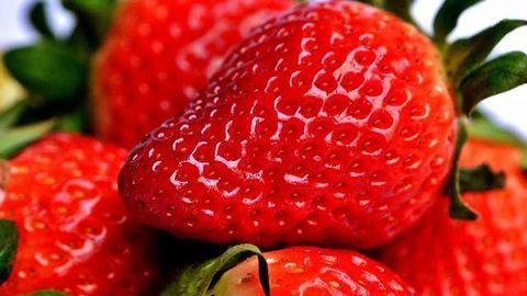 The Sex Life of Strawberries