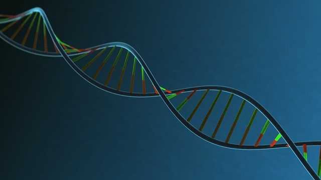 Horizon Discovery Edit-R crRNA Libraries Adopted by AstraZeneca as Part of its Functional Genomics Discovery Platform content piece image 