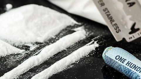 Gene Editing Makes Mice Cocaine-Proof