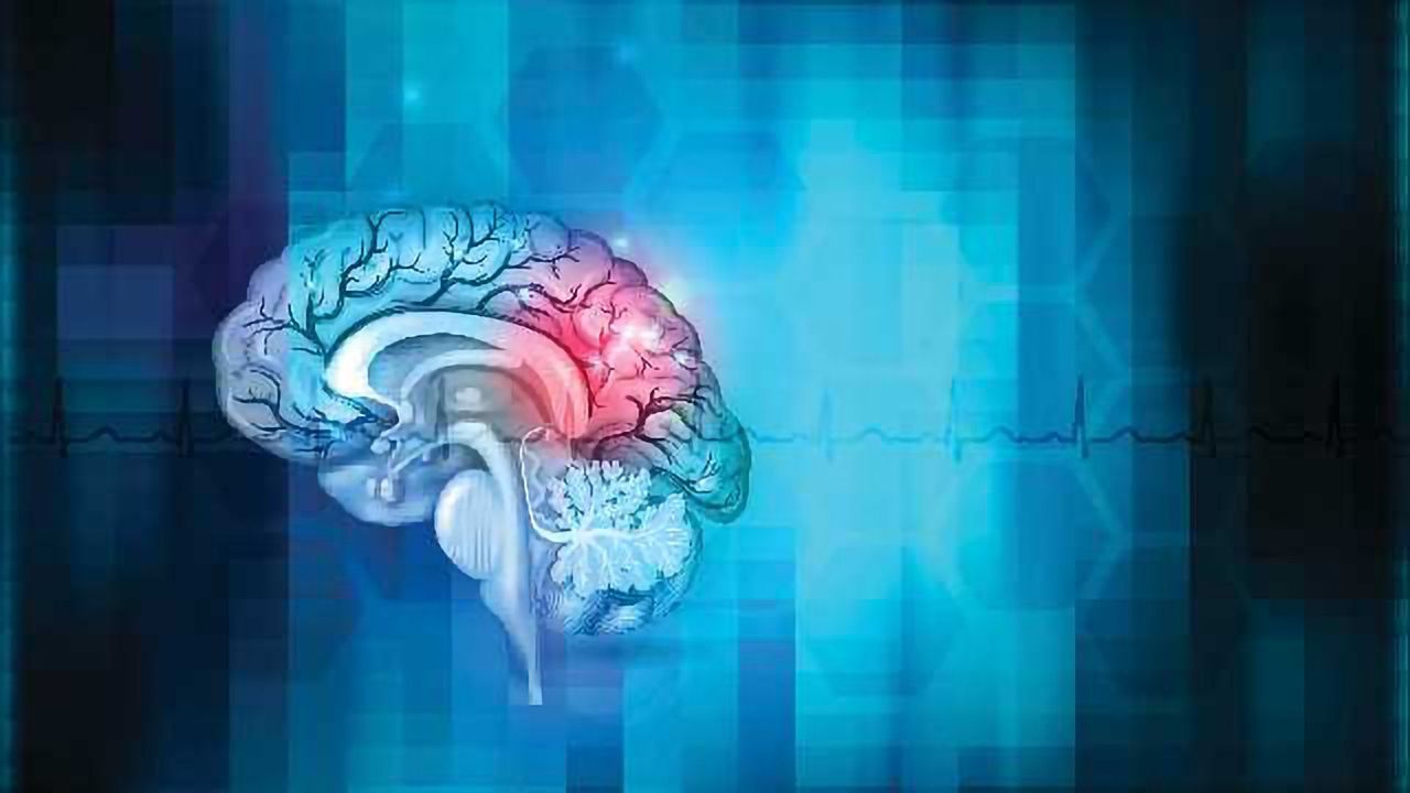 The Brain Bounces Back: Activity enables mice to overcome brain damage