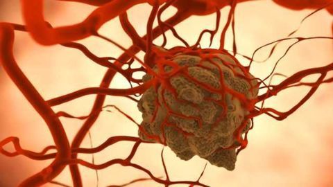 Characterizing the Function of Rare Tumor Cells