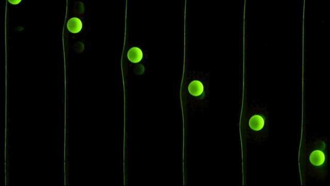 Surf's Up for Microbes and Cells