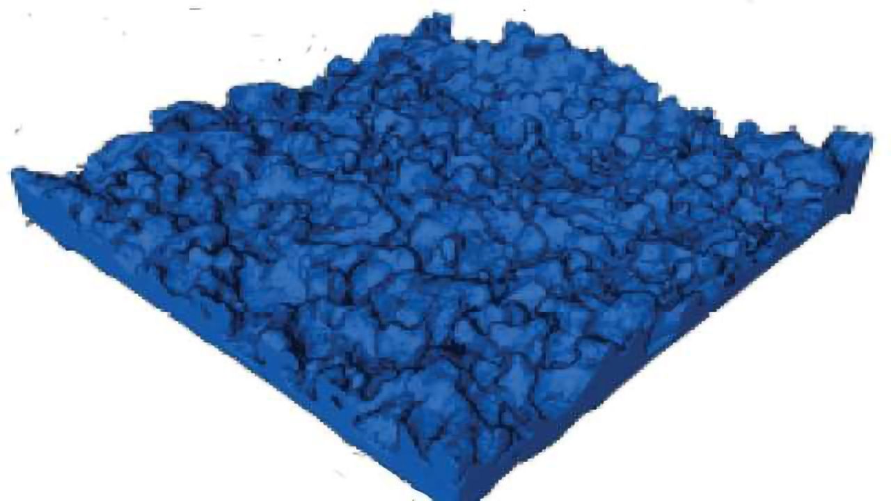 3D Electron Microscopy Uncovers the Complex Guts of Desalination Membranes