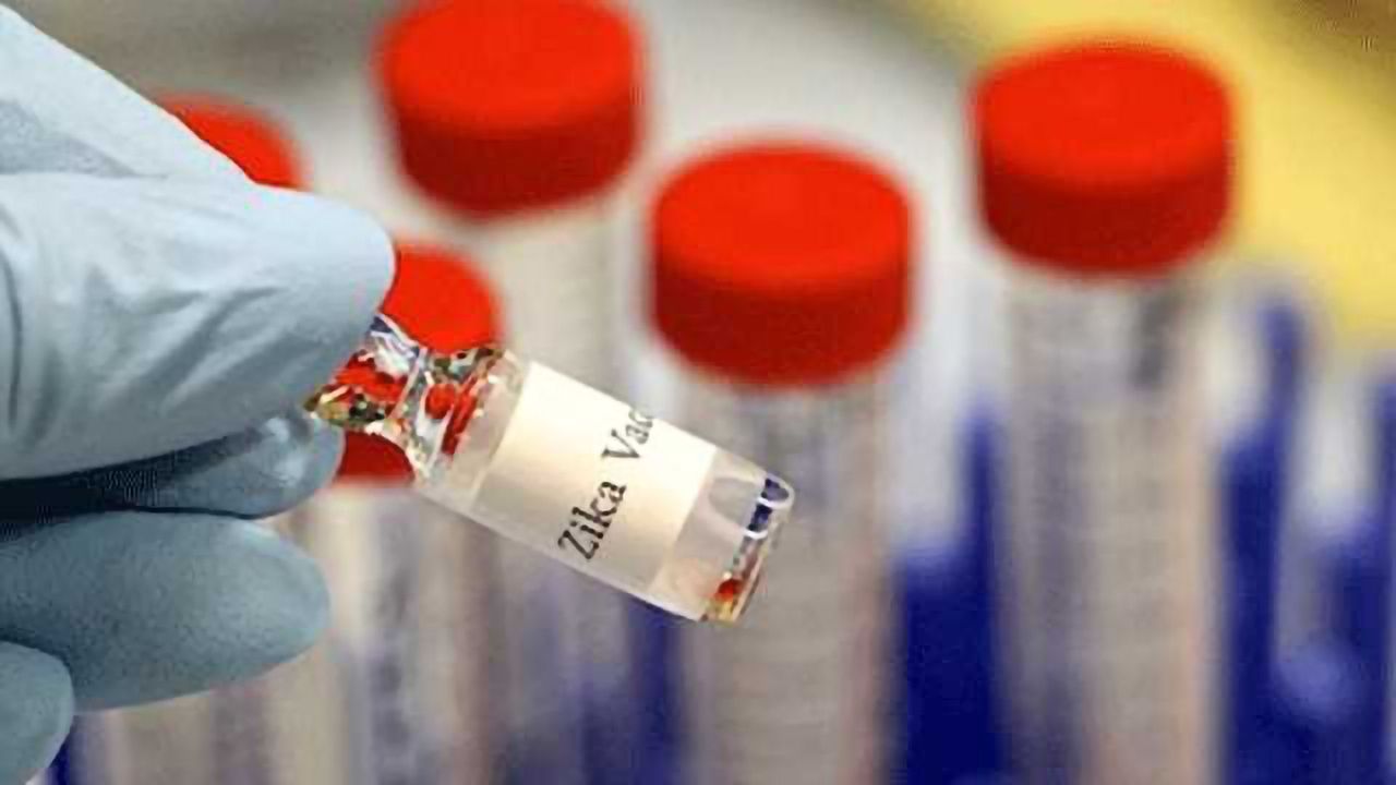 CRISPR Screen Identifies Gene That Helps Cells Resist West Nile, Zika Viruses