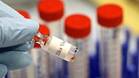 CRISPR Screen Identifies Gene That Helps Cells Resist West Nile, Zika Viruses