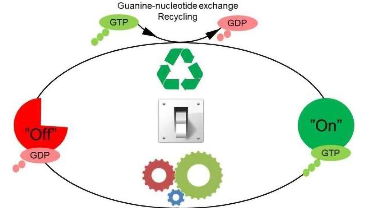 Molecular Switches are not just "On" or "Off"