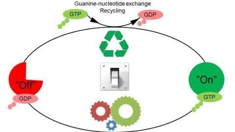 Molecular Switches are not just "On" or "Off"