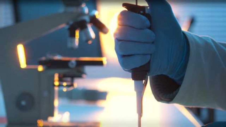 Shuwen Biotech‘s PD-L1 Detection Kit Validated in Clinical Trials of Leading Drugs content piece image