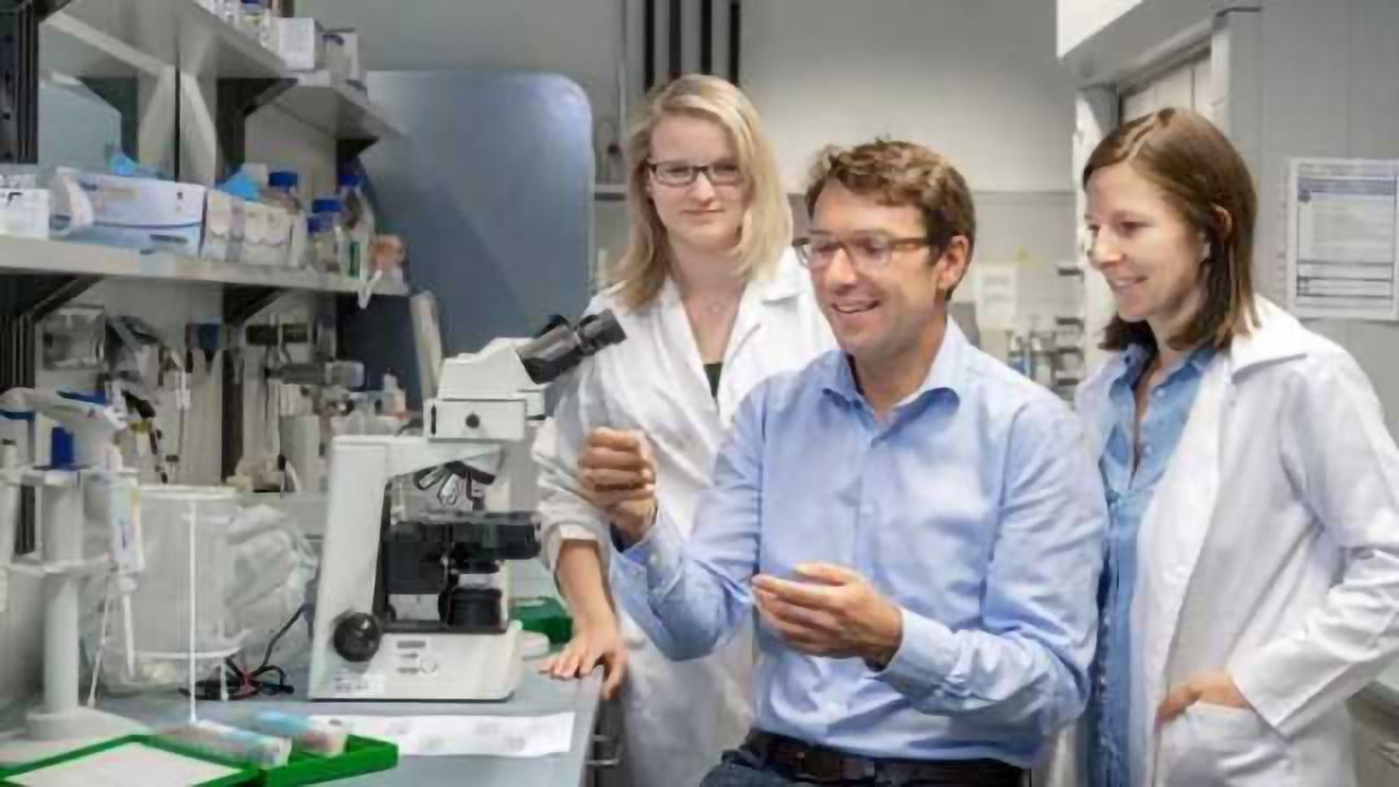 Colon Cancer Fueled by Bacteria and Cell Stress