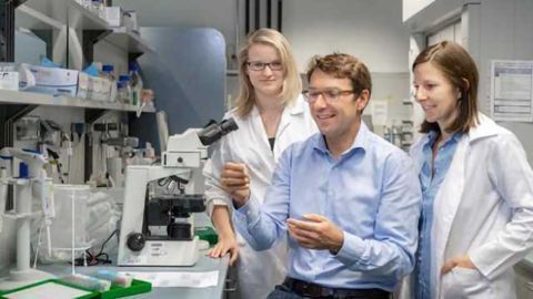 Colon Cancer Fueled by Bacteria and Cell Stress