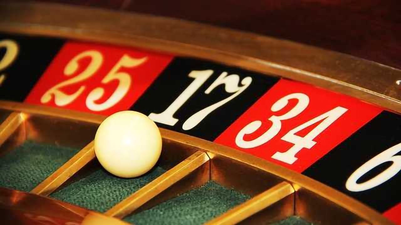 Gambling Monkeys Illuminate Risk-Taking Brain Area