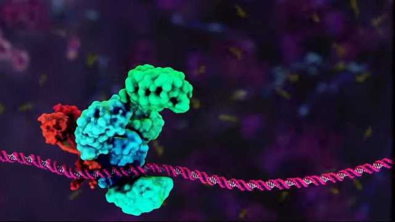 Incredible DNA Animations
