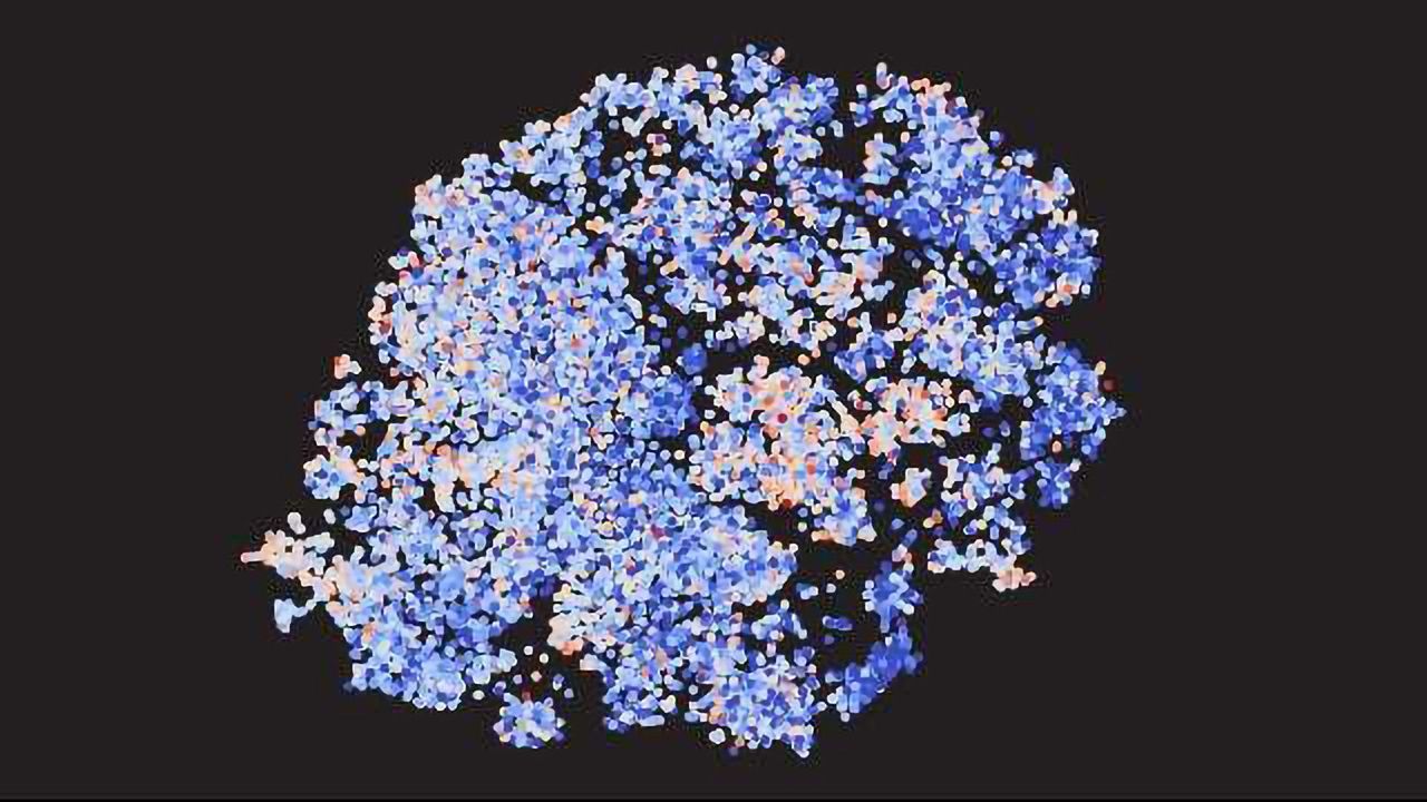 30% of Human Genes Have Never Been the Focus of a Scientific Study
