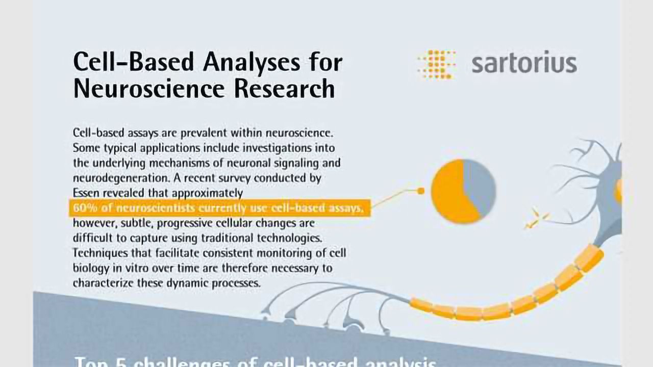 Cell-Based Analyses for Neuroscience Research
