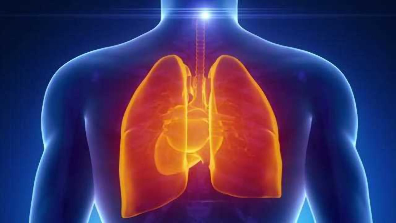 Computational Models of the Human Lung: Potential for Personalized Medicine & Inhalation Toxicology