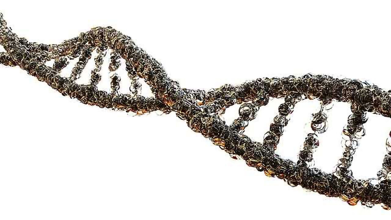 Unprecedented View of Gene Therapy Virus