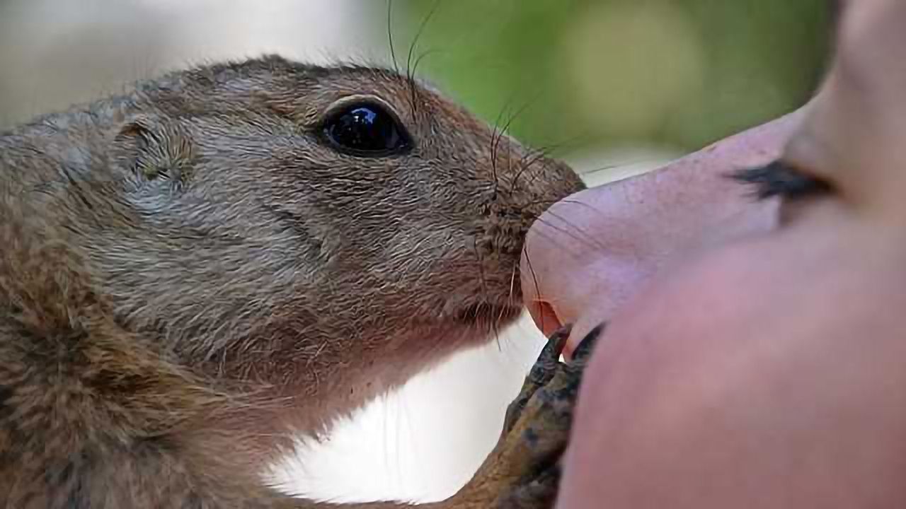 What can we Tell from Your Smell?