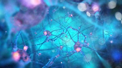 A Grand Plan to Target Cause of Alzheimer's Disease