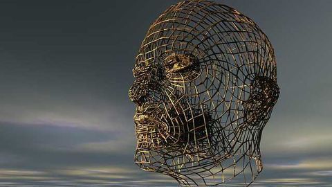 Does the Brain Really Feel no Pain?