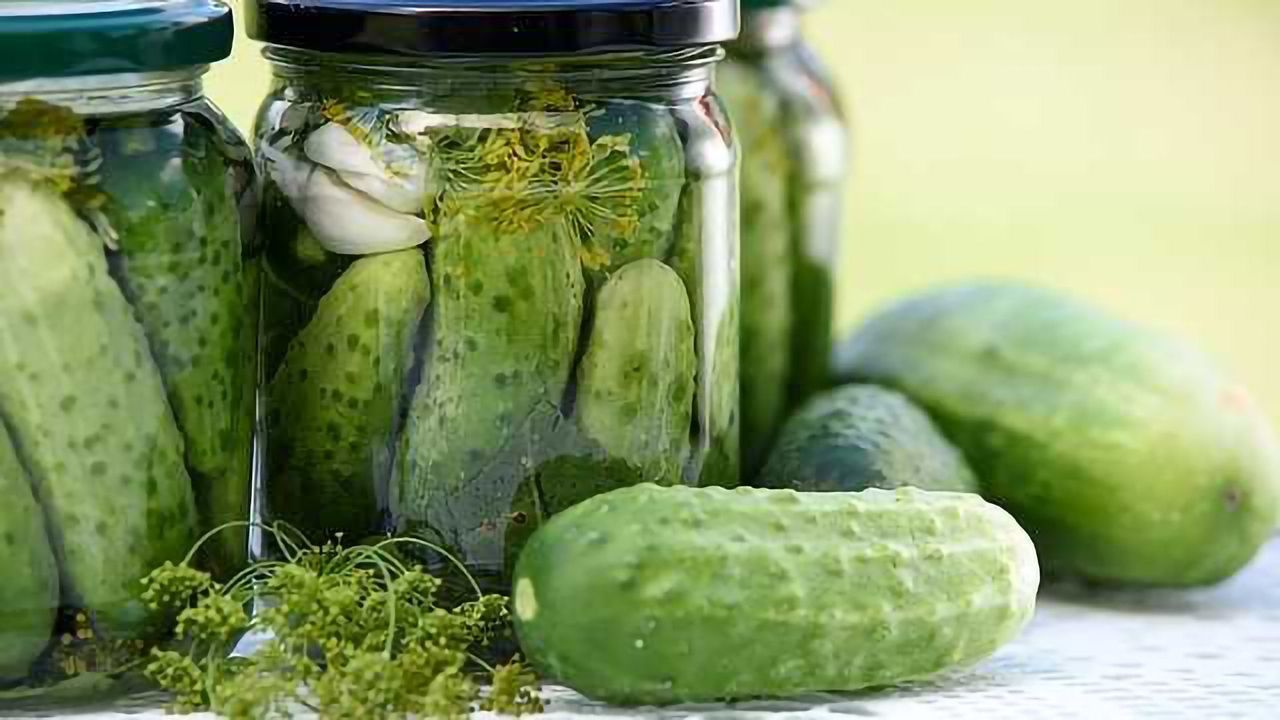 Peeking Inside Pickles