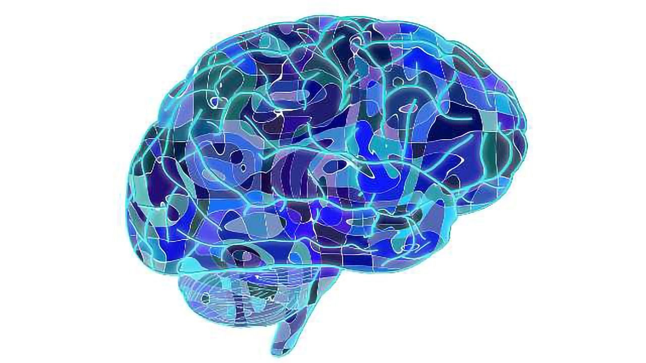 Does Our Environment Affect the Genes in Our Brains?