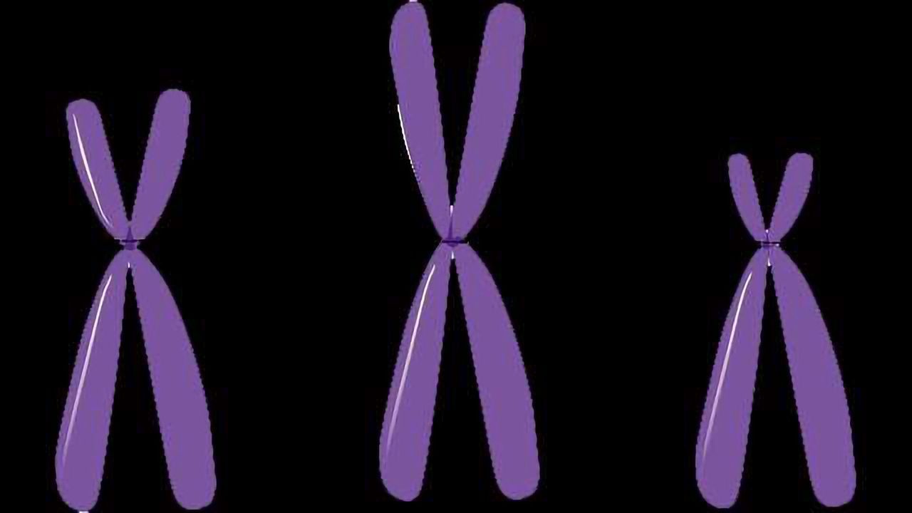 Enzymes 'Partner Up' to Accelerate Cancer and Aging Diseases