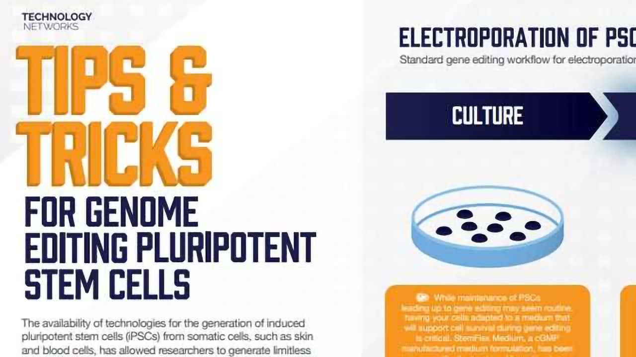 Tips and Tricks for Genome Editing Pluripotent Stem Cells