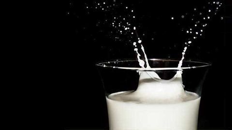 Milk Protein May Combat Chemotherapy Side Effects