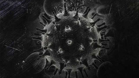 Combination HIV Antibodies Safely Maintain Viral Suppression in Some People