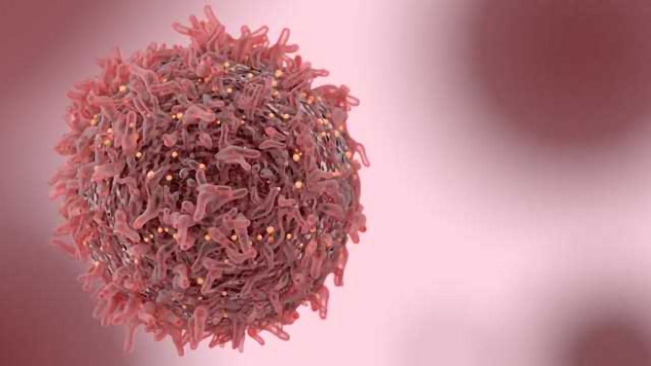 Key Development in the Understanding our Immune System