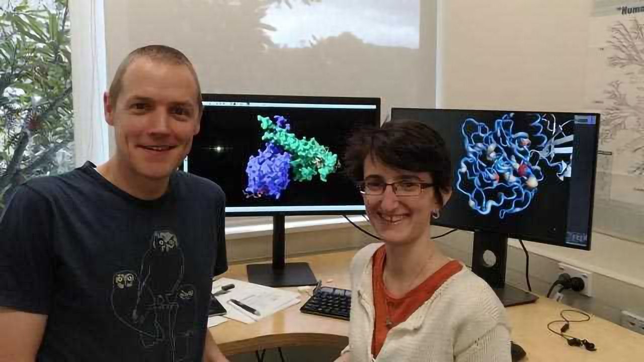 DNA-Packaging Proteins and Cancer Development Linked