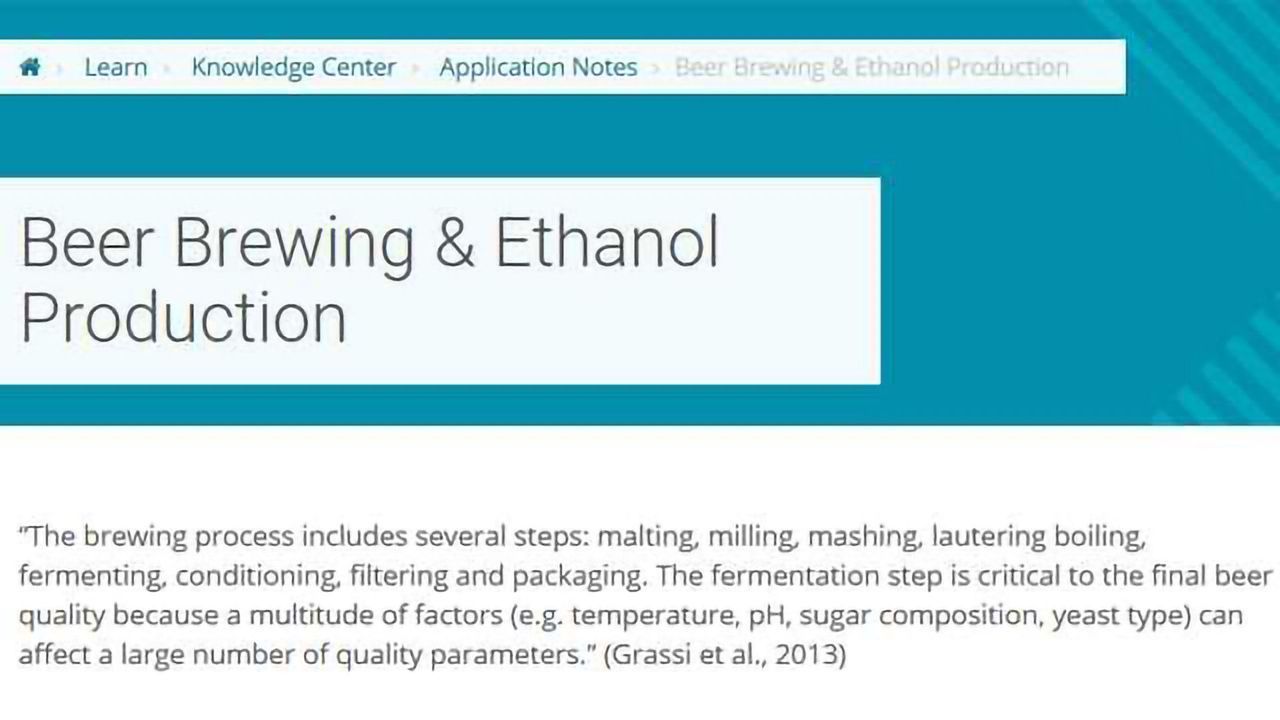 Beer Brewing & Ethanol Production