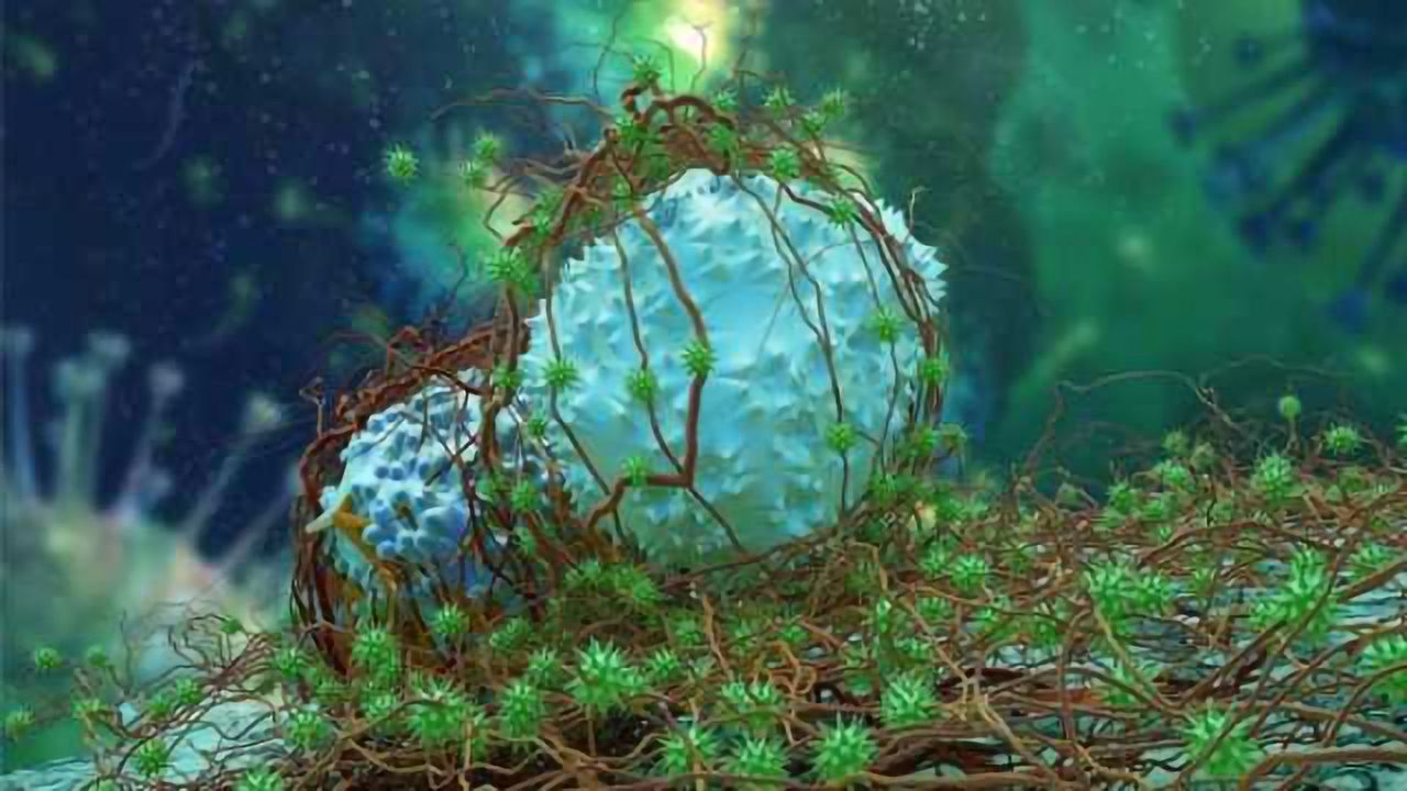 Cancer Cells Greedy for Glucose