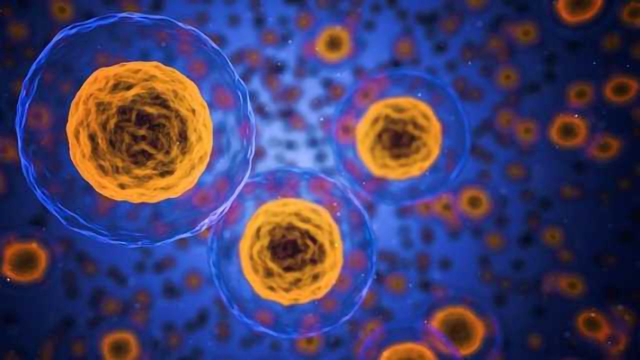 Killer Protein Structure Insights